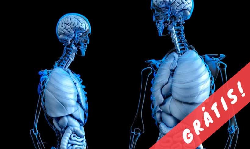 Livros-de-Anatomia-PDF-portada Livros-de-Anatomia-PDF-portada