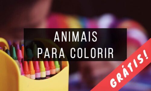 Livros de Animais para Colorir