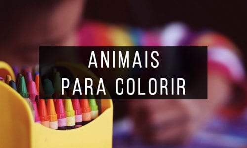 Livros-de-Animais-para-colorir