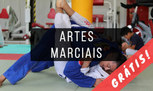 Livros de Artes Marciais