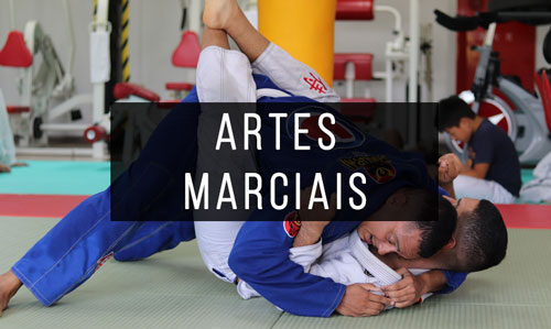 Livros-de-Artes-Marciais Livros-de-Artes-Marciais