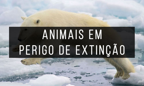 Livros-de-Animais-em-perigo-de-extincao Livros-de-Animais-em-perigo-de-extincao