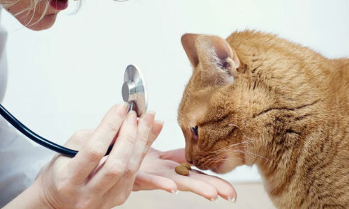 Livros de Veterinária