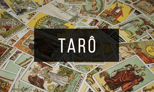 Taro Taro