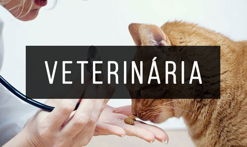 Veterinaria Veterinaria