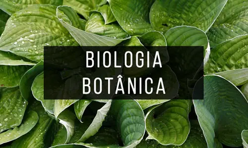 Biologia-Botanica Biologia-Botanica