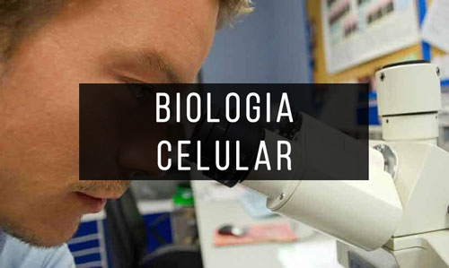 Biologia-Celular Biologia-Celular