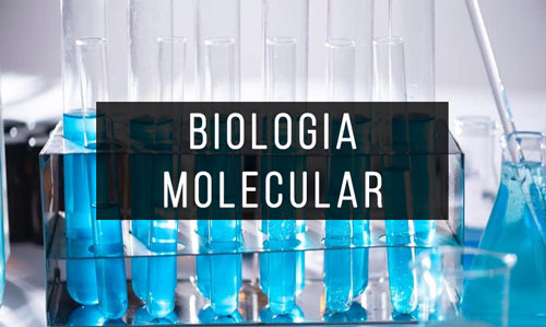 Biologia-Molecular Biologia-Molecular