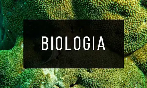 Livros-de-Biologia_med