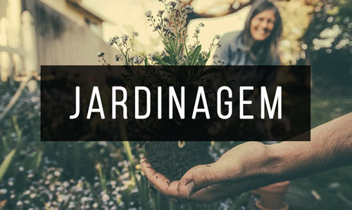 Jardinagem Jardinagem