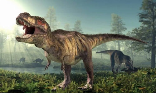 Livros de Dinossauros