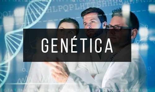 Genetica Genetica