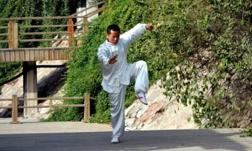 Livros de Chi Kung