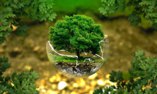 Livros de Biologia Ambiental