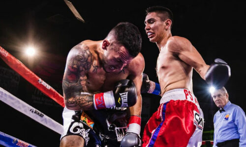 Livros de Boxe