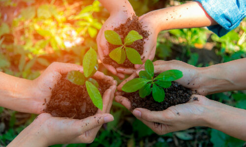 Livros de Ecologia