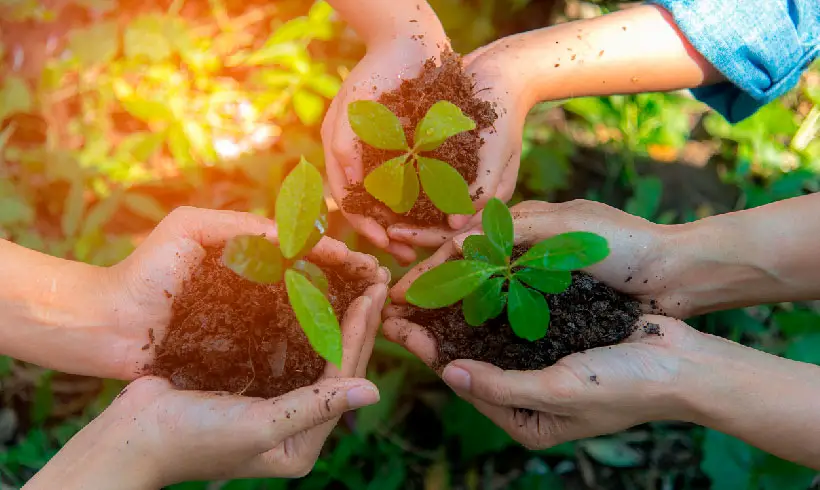 Livros-de-Ecologia