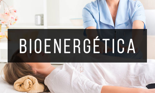Bioenergetica Bioenergetica