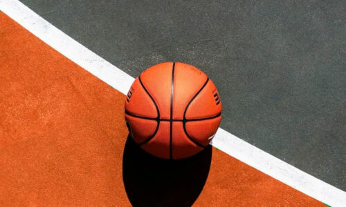 Livros de Basquetebol