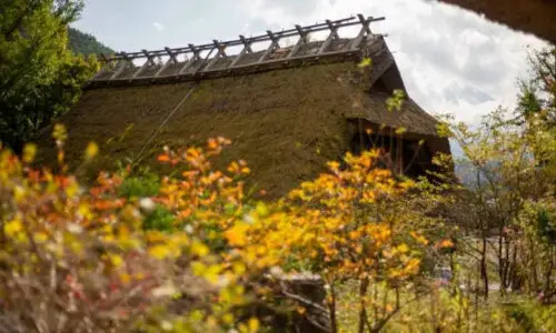 Livros de Mitología Japonesa
