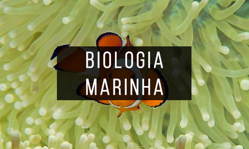 Biologia-Marinha Biologia-Marinha