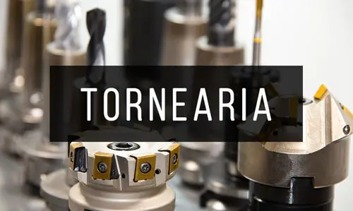Tornearia Tornearia