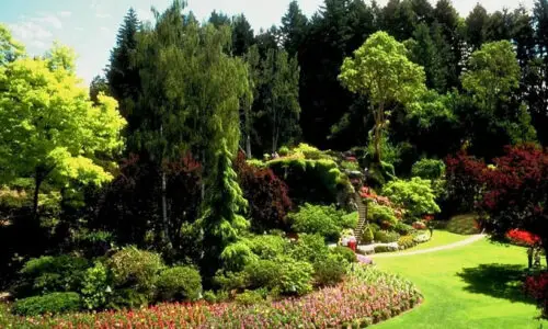 Livros de Paisagismo