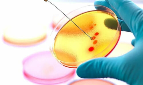 Livros de Microbiologia