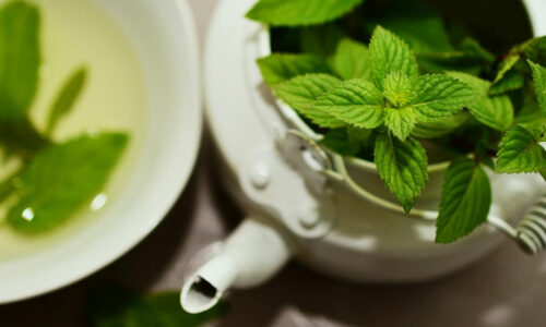 Livros de Plantas medicinais