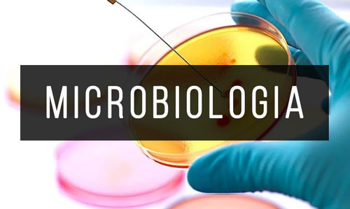 Microbiologia Microbiologia