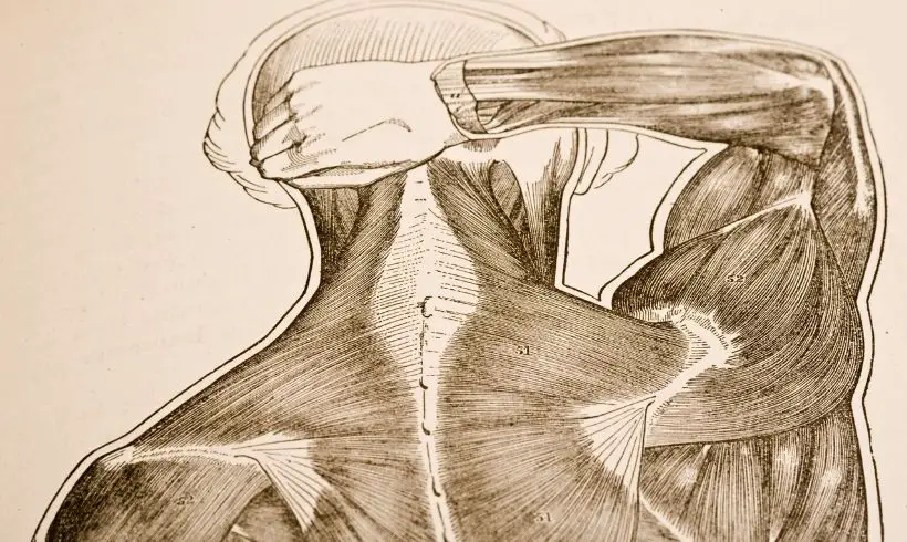 Livros de Fisiologia