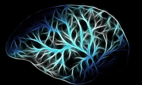 Livros de Neuropsicologia