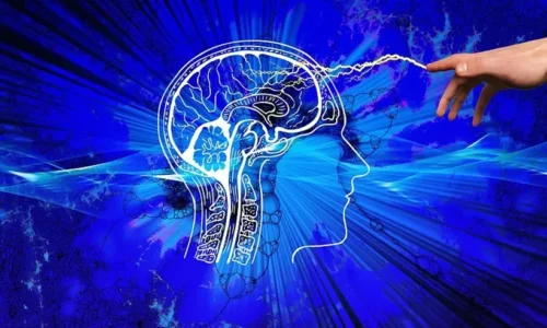 Livros de Psicologia para Iniciantes