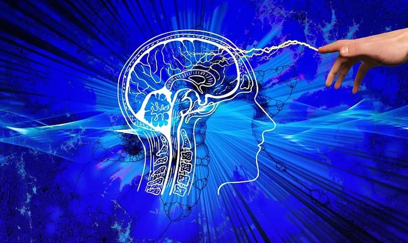 Livros de Psicologia para Iniciantes