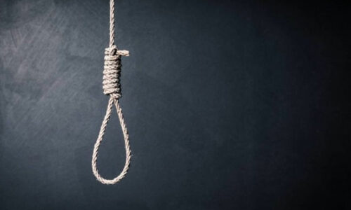 Livros sobre el Suicidio