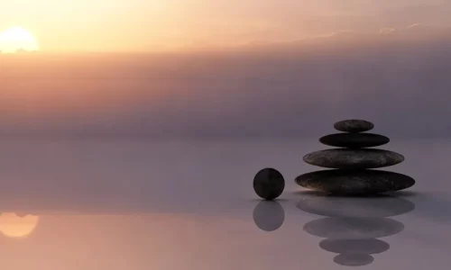 Livros Zen