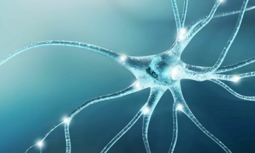 Livros de Neurologia
