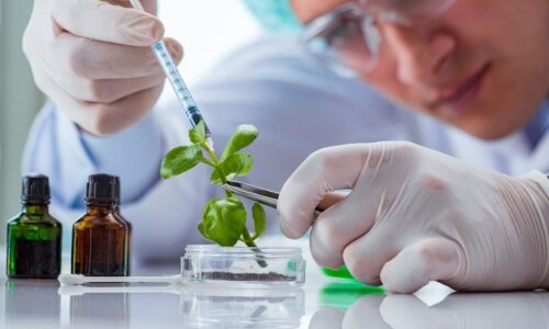 Livros de Biotecnologia