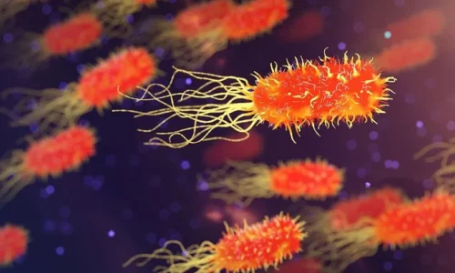 Livros de Bacteriologia