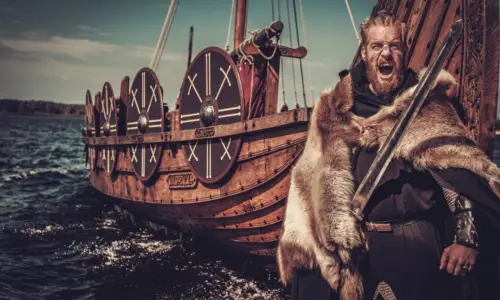 Livros de Vikings