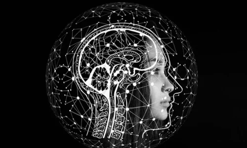 Livros de Neuroanatomía