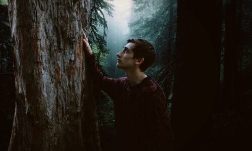 Livros de Terror para Adolescentes
