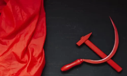 Livros de Socialismo