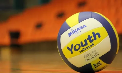 Livros de Voleibol