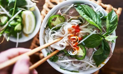 Livros de Culinária Vietnamita