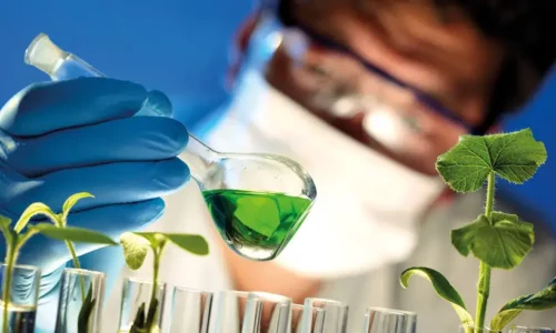 Livros de Bioengenharia