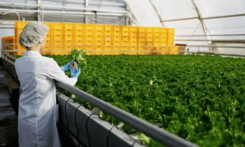 Livros de Engenharia Agroindustrial
