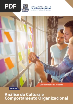 Análise da Cultura e Comportamento Organizacional