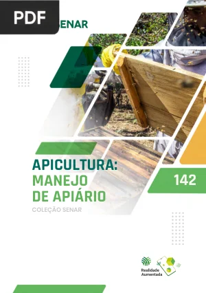 Apicultura - Manejo de Apiário
