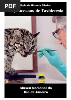 Os processos de Taxidermia e o Museu Nacional do io de Janeiro